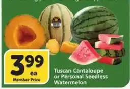 Albertsons Tuscan Cantaloupe or Personal Seedless Watermelon offer