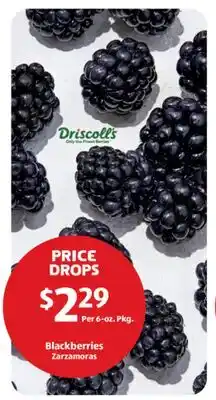 Aldi Blackberries offer