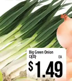 Hmart Big Green Onion offer