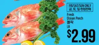 Hmart Fresh Ocean Perch offer