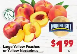 Vallarta Supermarkets Large Yellow Peaches or Yellow Nectarines offer