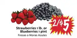 Foodmaxx Strawberries 1 lb. or Blueberries 1 pint offer