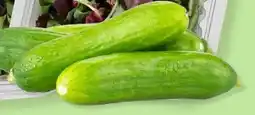 Grocery Outlet Mini Cucumbers offer