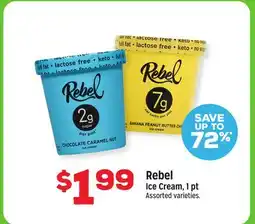 Grocery Outlet Rebel Ice Cream offer