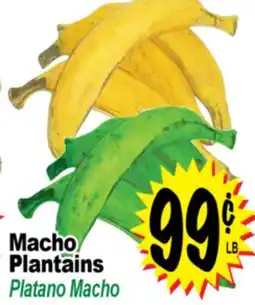 Superior Grocers Macho Plantains offer