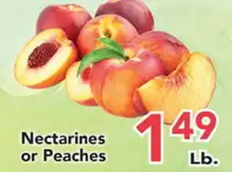 Eurofresh Market Nectarines or Peaches offer