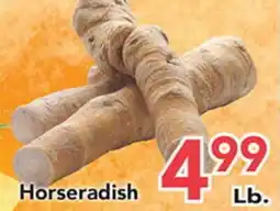 Eurofresh Market Horseradish offer