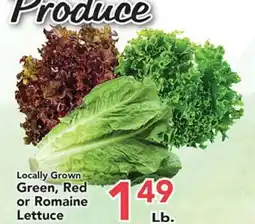 Eurofresh Market Locally Grown Green, Red or Romaine Lettuce offer