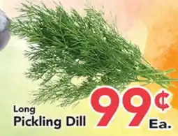 Eurofresh Market Long Pickling Dill offer