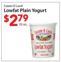 Three Guys from Brooklyn Cream O Land Lowfat Plain Yogurt offer