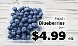 Living Fresh Market Fresh Blueberries offer