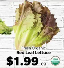 Living Fresh Market Fresh Organic Red Leaf Lettuce offer