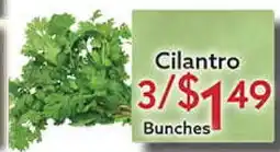 World Fresh Market Cilantro offer