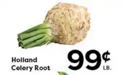 Rich's Fresh Market Holland Celery Root offer