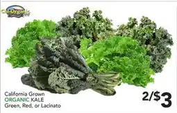 Pete's Fresh Market California Grown ORGANIC KALE offer
