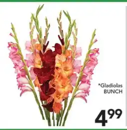 Pete's Fresh Market Gladiolas BUNCH offer
