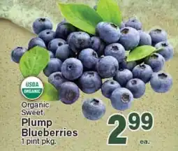 Angelo Caputo's Fresh Market Organic Sweet Plump Blueberries offer