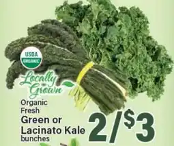 Angelo Caputo's Fresh Market Organic Fresh Green or Lacinato Kale bunches offer