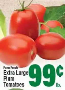 Angelo Caputo's Fresh Market Farm Fresh Extra Large Plum Tomatoes offer