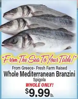 Angelo Caputo's Fresh Market From Greece - Fresh Farm Raised Whole Mediterranean Branzini offer