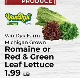Sunset Foods Van Dyk Farm Michigan Grown Romaine or Red & Green Leaf Lettuce offer