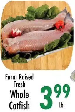 Garden Fresh Market Farm Raised Fresh Whole Catfish offer