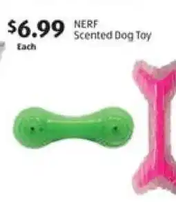 Aldi NERF Scented Dog Toy offer