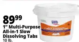 Ocean State Job Lot Pool Mate All-In-1 Slow-Dissolving 1 Multi-Purpose Tabs offer