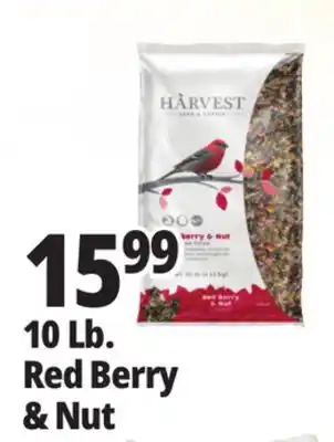 Ocean State Job Lot Harvest Seed & Supply Red Berry & Nut Wild Bird Food 10 lb offer