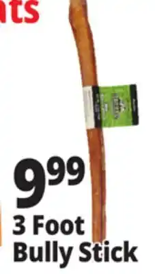 Ocean State Job Lot 3 Foot Bully Stick offer