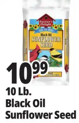 Ocean State Job Lot 10 Lb. Black Oil Sunflower Seed offer