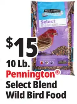 Ocean State Job Lot Pennington Premium Select Blend Bird Seed 10 lb offer