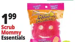 Ocean State Job Lot Scrub Daddy Dual-Sided Scrub Mommy Scrubber + Sponge offer
