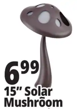 Ocean State Job Lot 15 Solar Mushroom offer