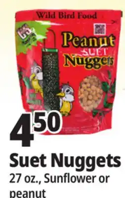 Ocean State Job Lot C&S Peanut Suet Nuggets Wild Bird Food 27 oz offer