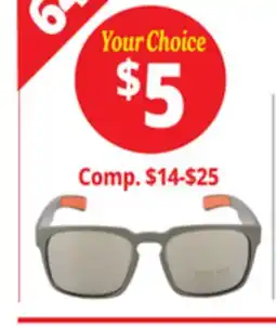 Ocean State Job Lot Ellen Tracy Sunglasses offer