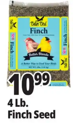 Ocean State Job Lot Better Bird Finch Bird Food 4 lbs offer