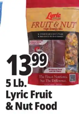 Ocean State Job Lot Lyric Fruit and Nut High Energy Wild Bird Food Mix 5 lbs offer