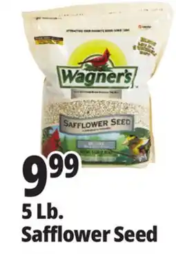 Ocean State Job Lot 5 Lb. Safflower Seed offer