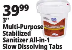 Ocean State Job Lot Pool Mate All-In-One Slow-Dissolving 1 Multi-Purpose Tabs 5 lbs offer