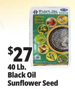 Ocean State Job Lot Black Oil Sunflower Seeds 40 lbs offer