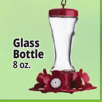 Ocean State Job Lot Glass Bottle offer