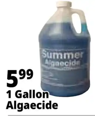 Ocean State Job Lot Summer Algaecide 1 Gal offer