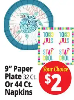 Ocean State Job Lot 9 Paper Plate 32 Ct. Or 44 Ct. Napkins offer