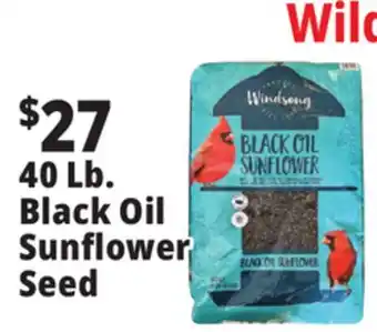 Ocean State Job Lot Black Oil Sunflower Seeds offer