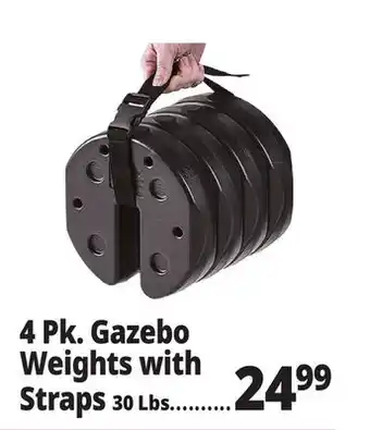 Ocean State Job Lot 4 Pk. Gazebo Weights with Straps offer