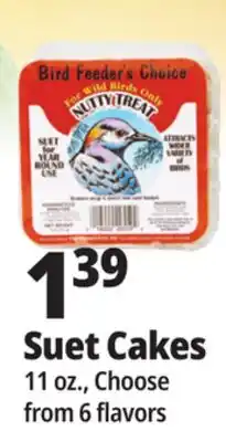 Ocean State Job Lot Suet Cakes offer