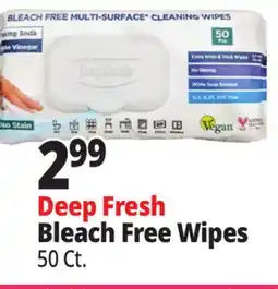 Ocean State Job Lot Deep Fresh Bleach Free Wipes offer