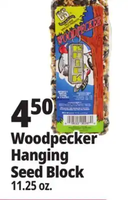 Ocean State Job Lot Audubon Park Songbird Bell Wild Bird Food 15.5 oz offer