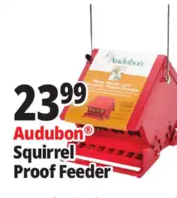 Ocean State Job Lot Audubon Squirrel Proof Feeder offer